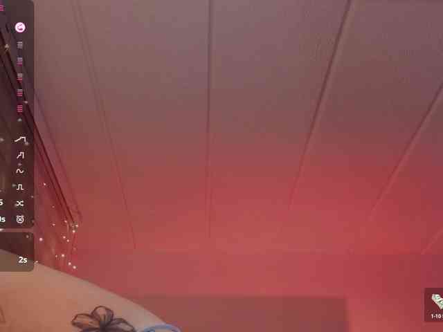 Charlotte webcam