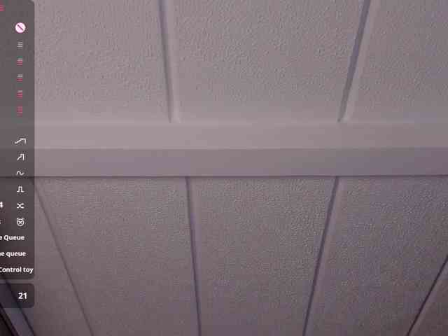 Charlotte webcam