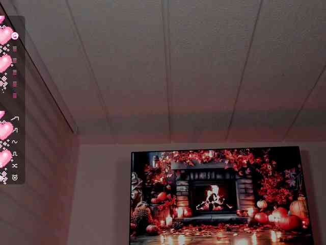 Charlotte webcam