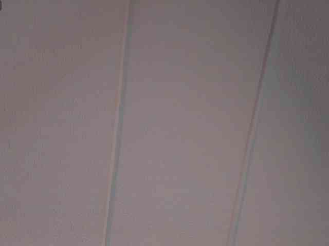 Charlotte webcam