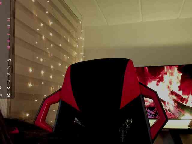 Charlotte webcam