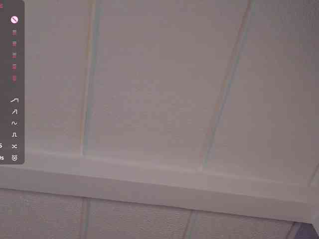 Charlotte webcam