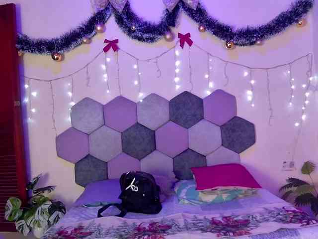 DesireDuo-tgn webcam