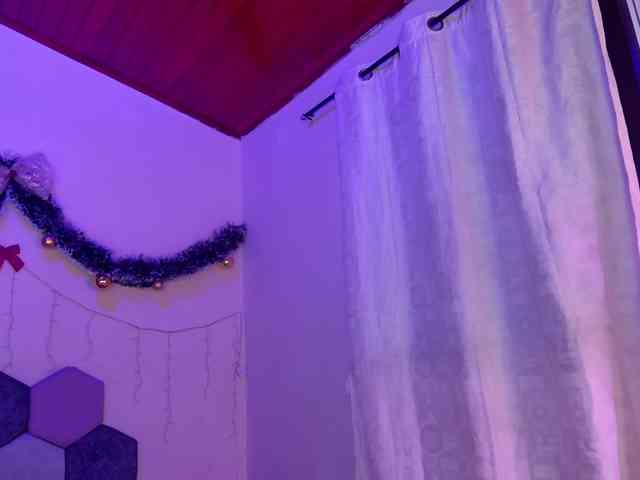 DesireDuo-tgn webcam