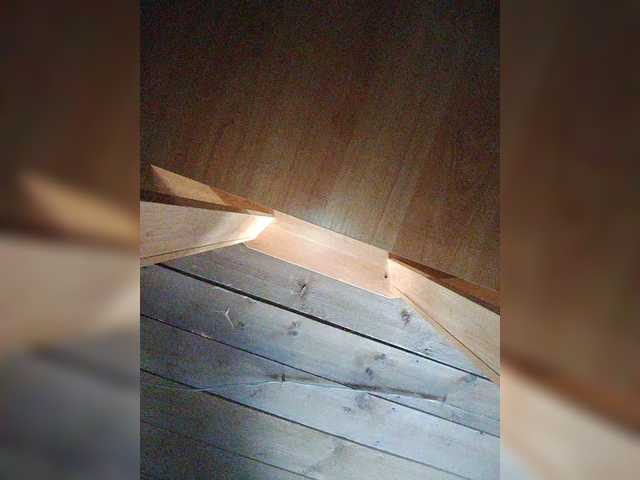 SERTSEETKA's BongaCams show and profile