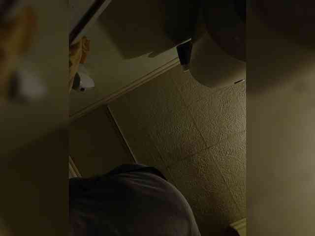 Xo4y-SeXa webcam