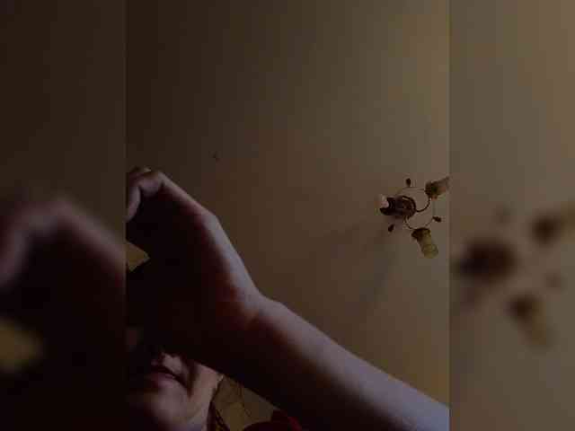 Xo4y-SeXa webcam