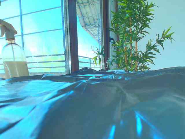 webcam porn live AlicePirs