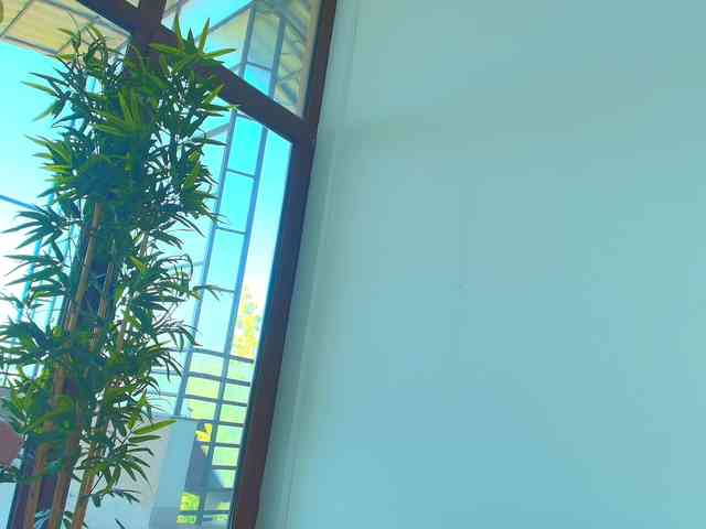 AlicePirs webcam