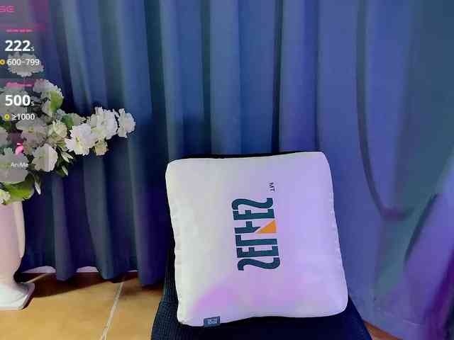 CN-MIMI webcam