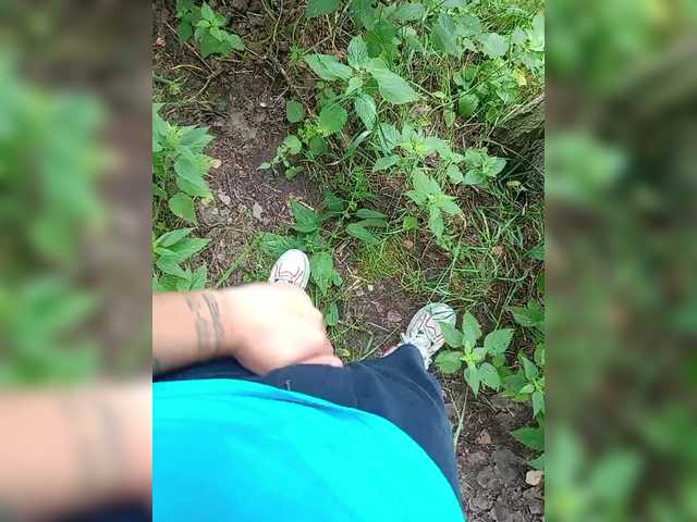 Metele6