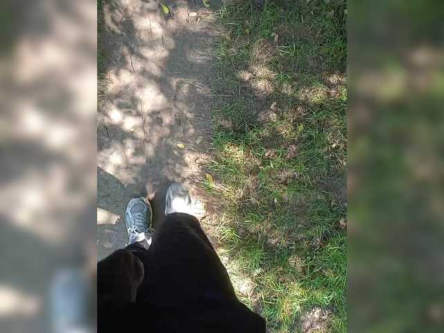 Metele6