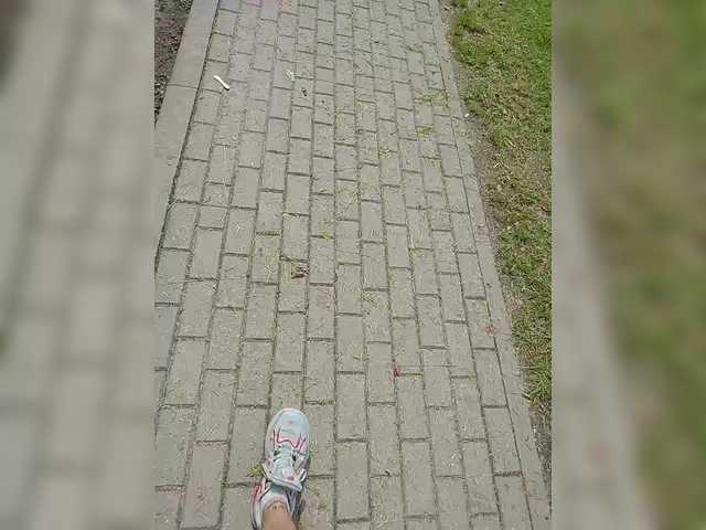 Metele6
