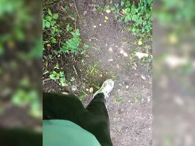 Metele6