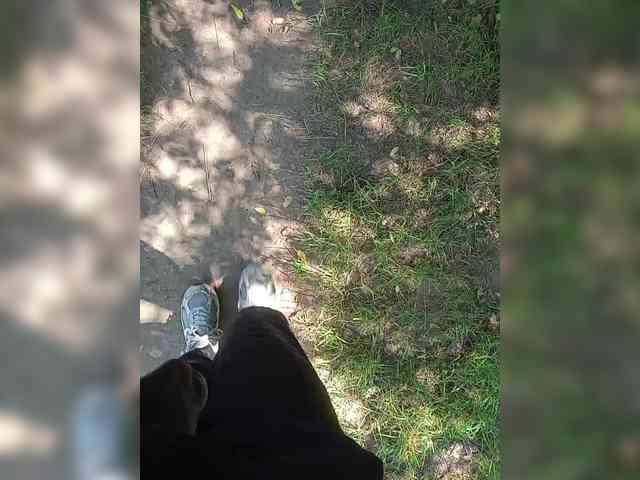 Metele6
