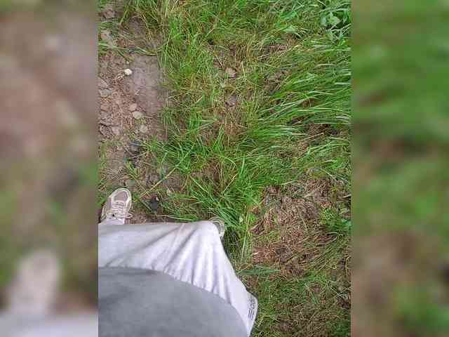 Metele6