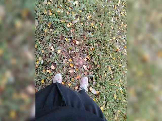 Metele6