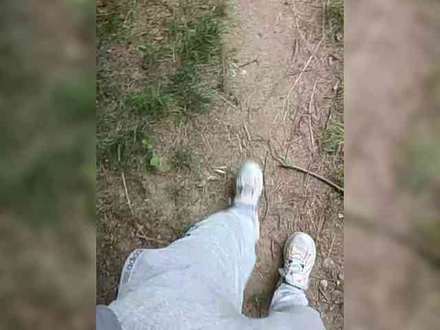 Metele6