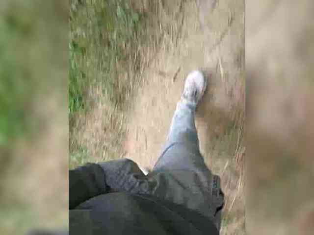 Metele6