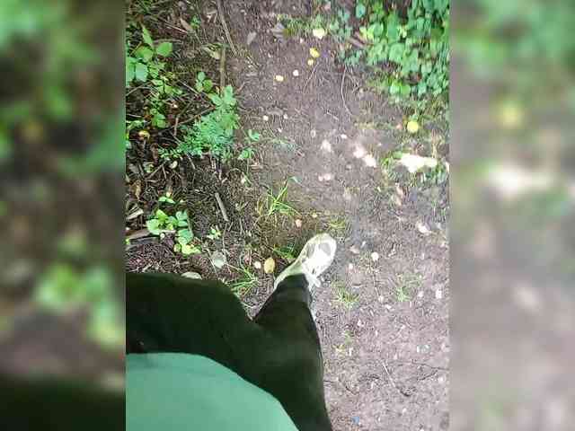 Metele6