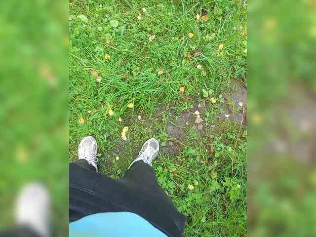 Metele6