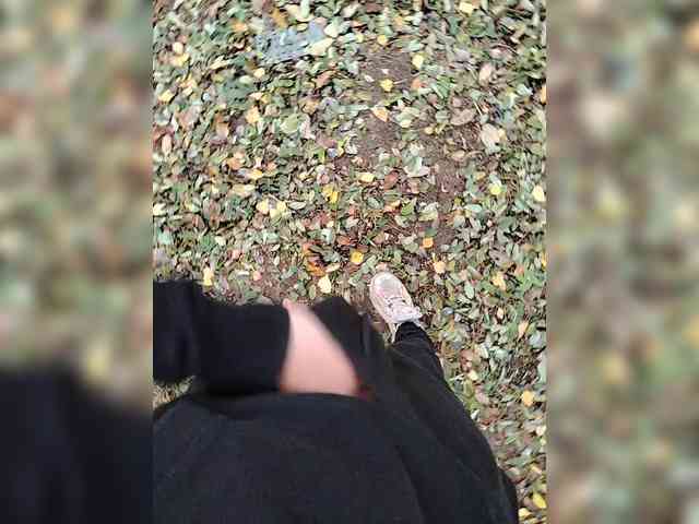 Metele6