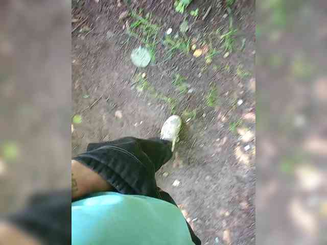 Metele6
