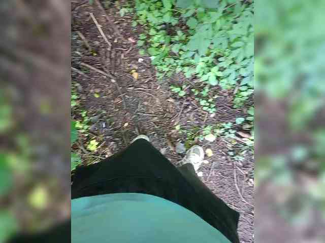 Metele6