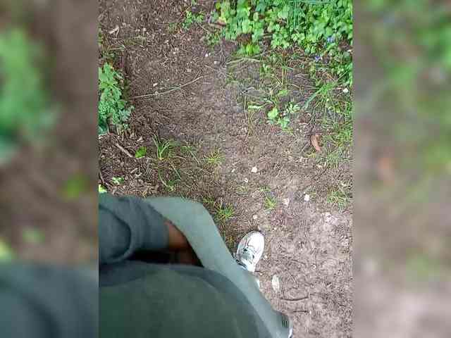 Metele6