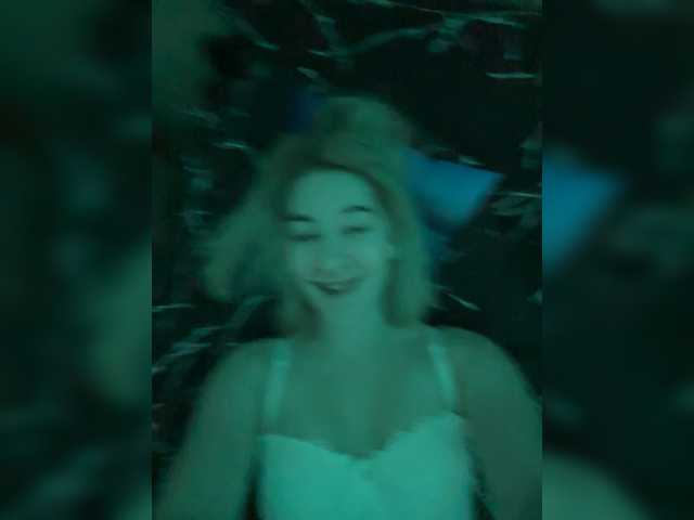 Vikkitut