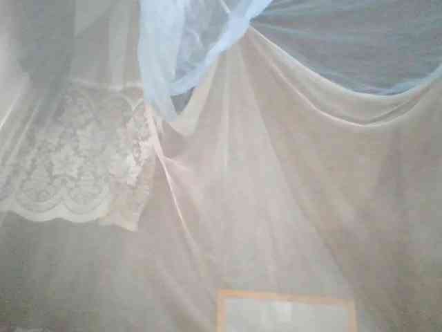 meloddy webcam