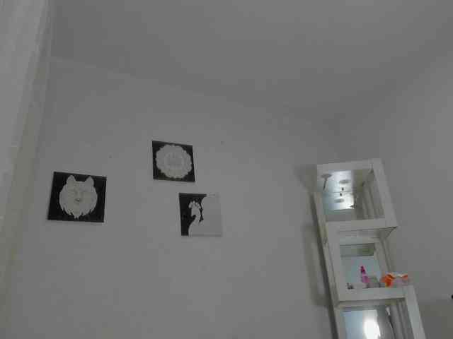 gabbiie-carterr1 webcam