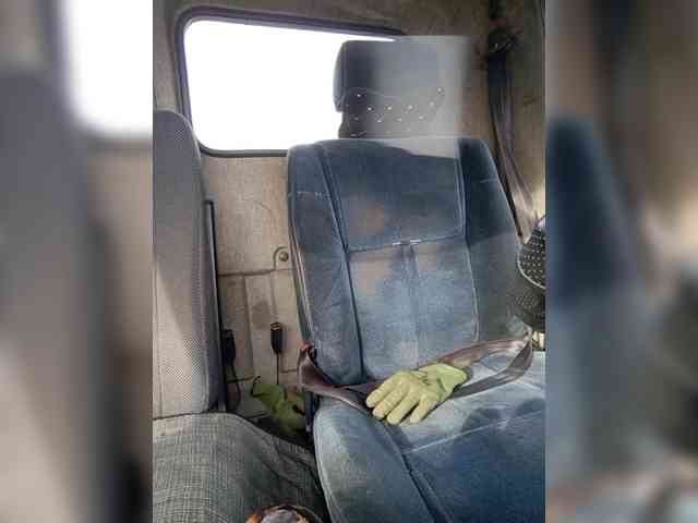 AlexGumWow Live Webcam on BongaCams