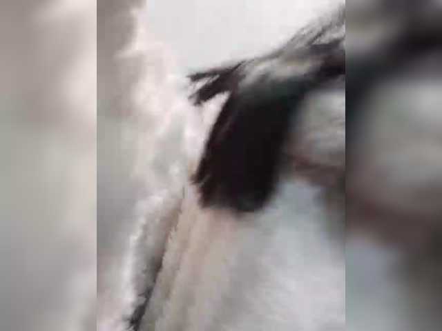 Selinababy99's BongaCams show and profile