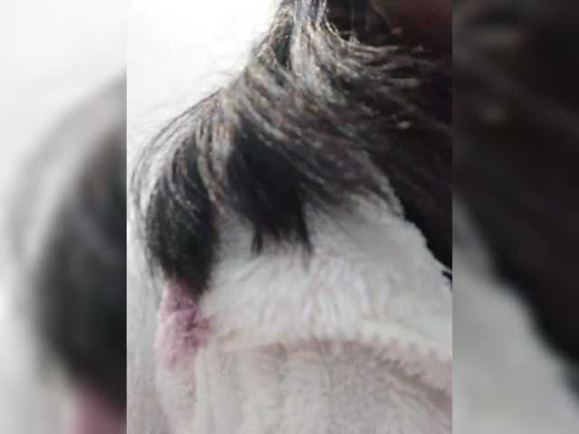 Selinababy99's BongaCams show and profile