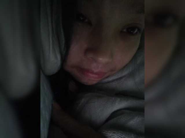 Selinababy99 from BongaCams is Freechat