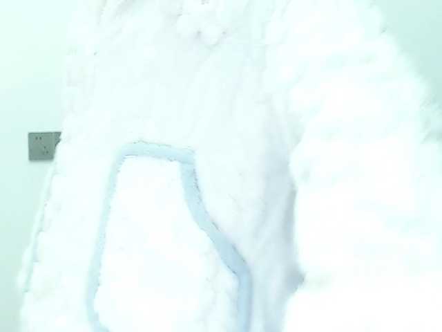 Selinababy99 from BongaCams is Freechat