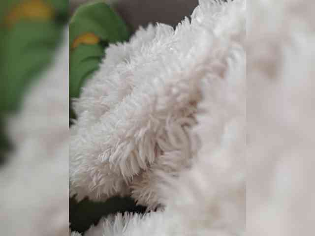 Selinababy99 Selinababy99