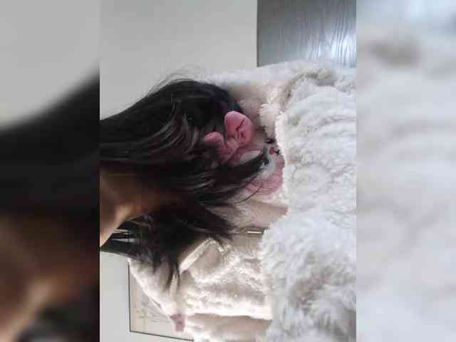 Selinababy99 Selinababy99