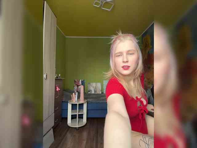 Advaya webcam