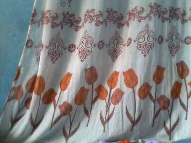 Chachachocolate webcam