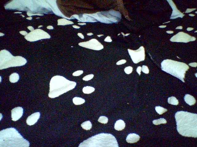 Celena980's BongaCams show and profile