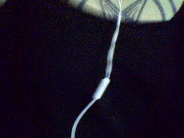 Celena980's BongaCams show and profile