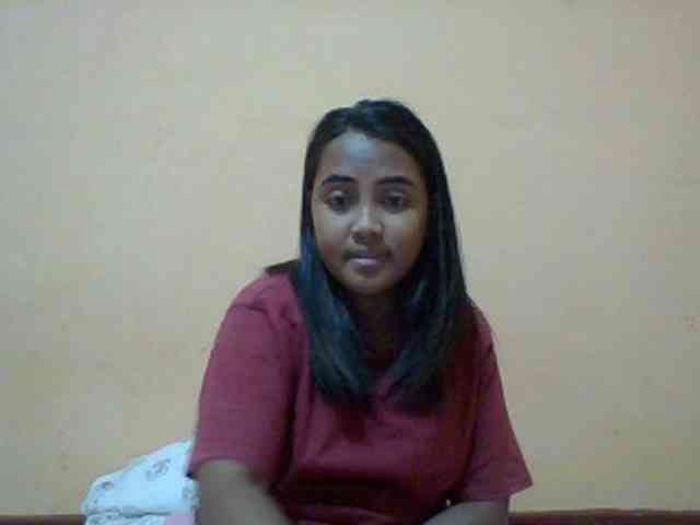SunsetMonica webcam