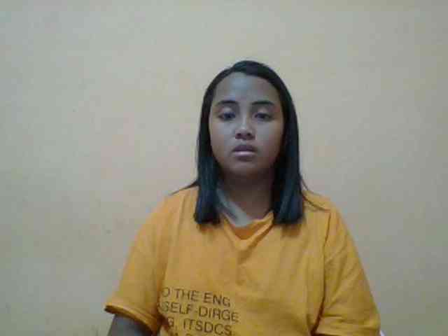 SunsetMonica webcam