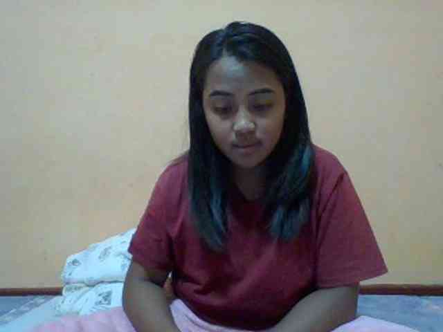 SunsetMonica webcam