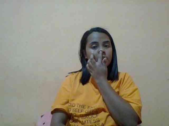 SunsetMonica webcam