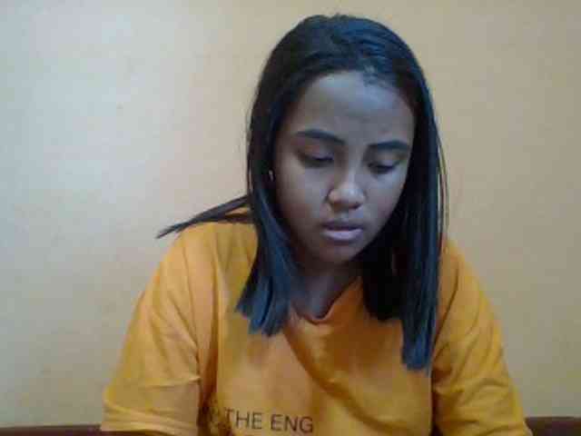 SunsetMonica webcam
