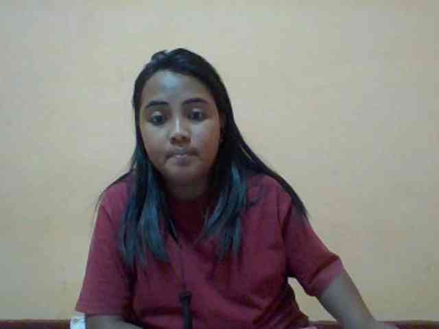 SunsetMonica webcam
