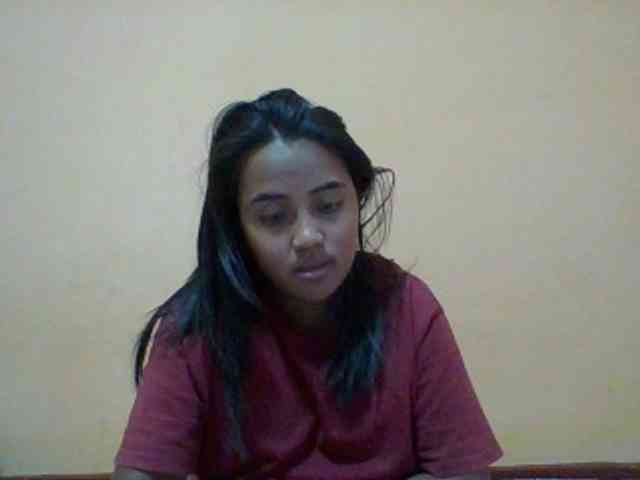 SunsetMonica webcam